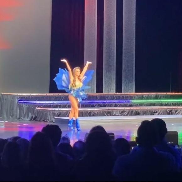 Butterfly/mocking jay costume - Picture 3 of 4